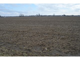 Property photo 9 - 173 +/- Acres Offered in 3 Tracts - Ohio Farmland